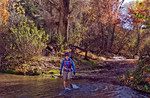 photo thumbnail #2