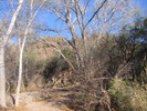 photo thumbnail #3