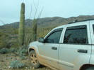 photo thumbnail #1