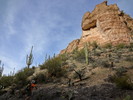 photo thumbnail #10