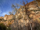 photo thumbnail #11