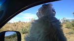 photo thumbnail #2