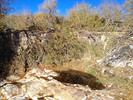 photo thumbnail #4