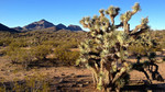 photo thumbnail #13