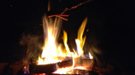 photo thumbnail #15