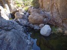 photo thumbnail #12