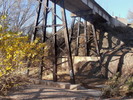 photo thumbnail #1