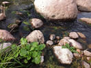 photo thumbnail #15