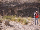 photo thumbnail #15