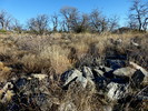 photo thumbnail #1