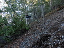 photo thumbnail #5