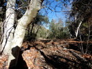 photo thumbnail #10