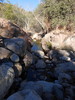 photo thumbnail #11