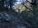photo thumbnail #12