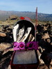 photo thumbnail #11