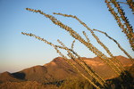 photo thumbnail #2