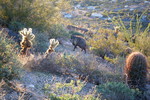 photo thumbnail #5