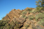 photo thumbnail #8