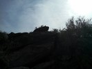photo thumbnail #8