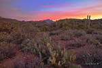 photo thumbnail #3