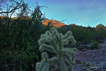 photo thumbnail #5