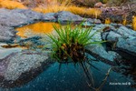 photo thumbnail #7