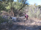 photo thumbnail #3