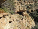 photo thumbnail #5