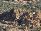 photo thumbnail #8