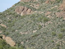 photo thumbnail #13