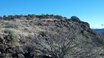 photo thumbnail #7