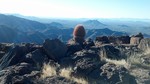 photo thumbnail #10