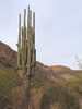 photo thumbnail #11