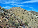 photo thumbnail #10