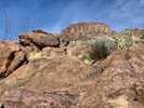 photo thumbnail #4