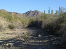 photo thumbnail #1