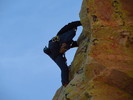 photo thumbnail #9