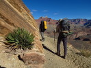 photo thumbnail #3