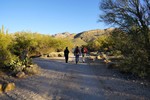 photo thumbnail #1