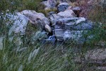 photo thumbnail #7