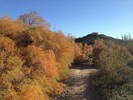 photo thumbnail #6