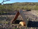 photo thumbnail #4