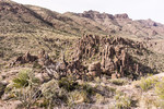 photo thumbnail #6