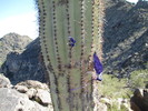photo thumbnail #6