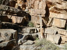 photo thumbnail #7