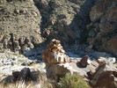 photo thumbnail #12