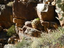 photo thumbnail #13