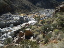 photo thumbnail #14
