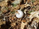 photo thumbnail #15