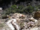 photo thumbnail #6